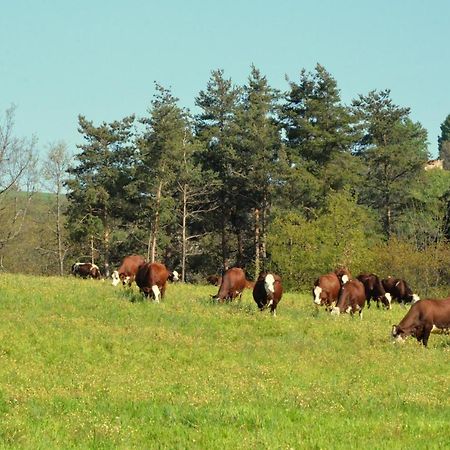 Gites A La Ferme De Bacon Saint-Sylvestre  Екстер'єр фото