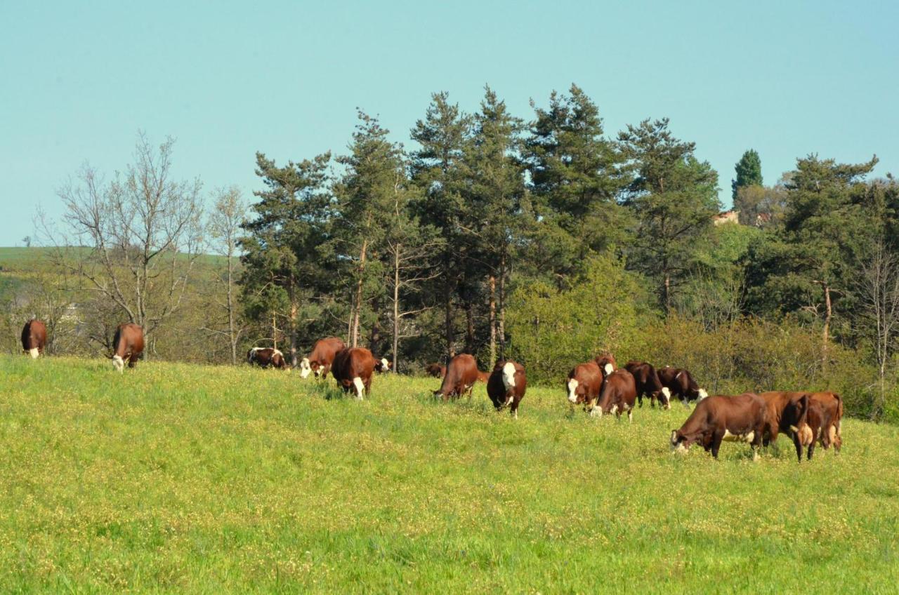 Gites A La Ferme De Bacon Saint-Sylvestre  Екстер'єр фото